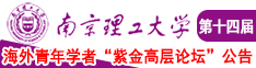 日她婆的老逼南京理工大学第十四届海外青年学者紫金论坛诚邀海内外英才！